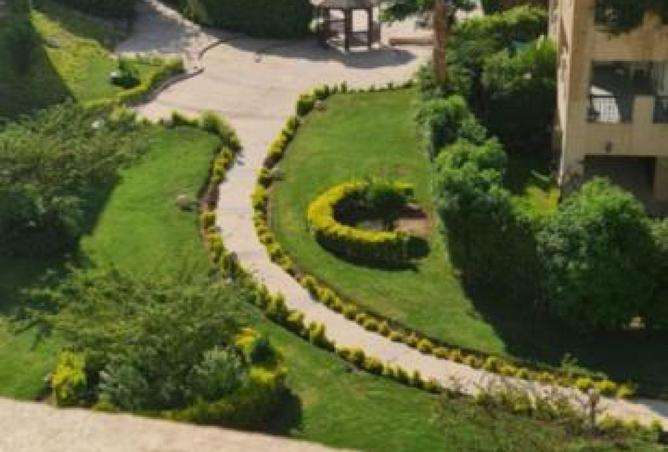 8337812 - صورة العقار 3