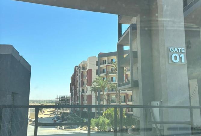 8203986 - صورة العقار 3