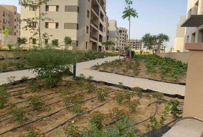 8178800 - صورة العقار 2