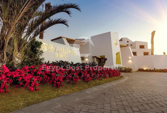 8442987 - الصورة الرئيسية للعقار