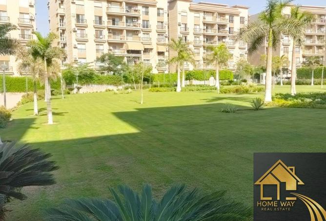 8206166 - صورة العقار 3