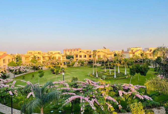 8400071 - صورة العقار 2