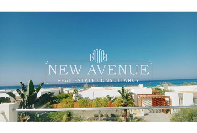 8350915 - صورة العقار 3