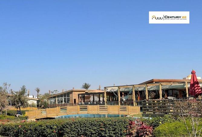 6823763 - Property Image 3