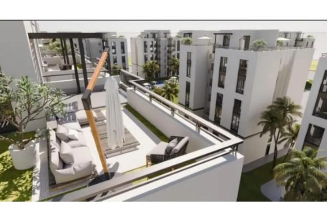 8191666 - Property Image 3