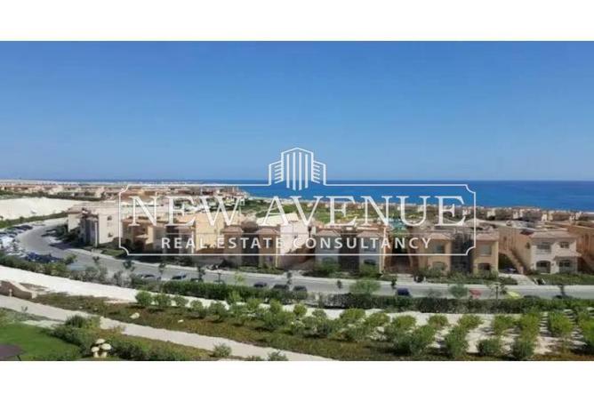 8113788 - صورة العقار 2