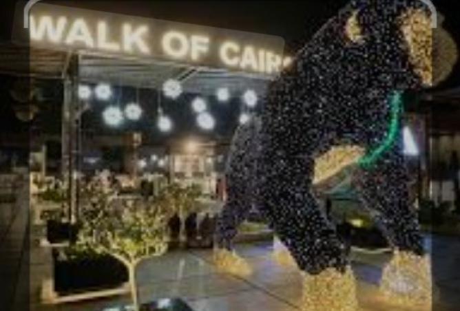 8237293 - صورة العقار 2