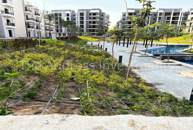 7906383 - Property Main Image