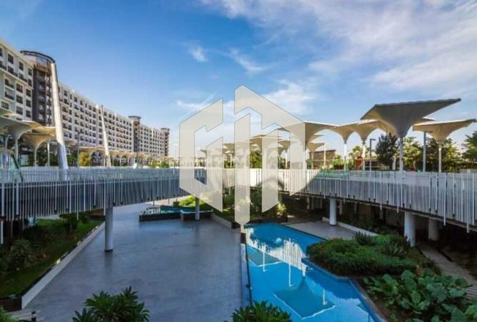 8101768 - Property Image 3