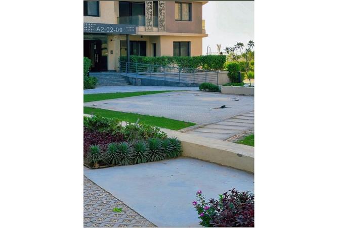 8159096 - Property Image 2