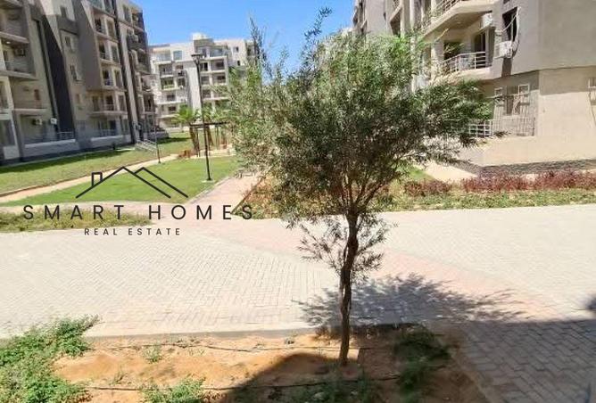 8207870 - Property Main Image