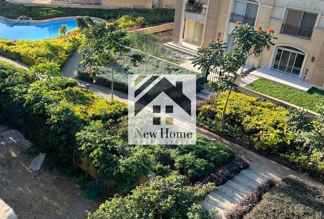 8128706 - Property Image 3