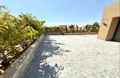 (بنتهاوس  (روف - 4 غرف نوم - 4 حمامات للايجار في الما - الحي الثاني - الشيخ زايد - الجيزة