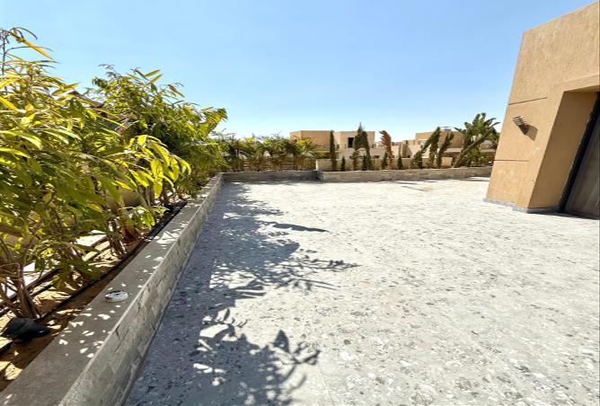 7974233 - الصورة الرئيسية للعقار