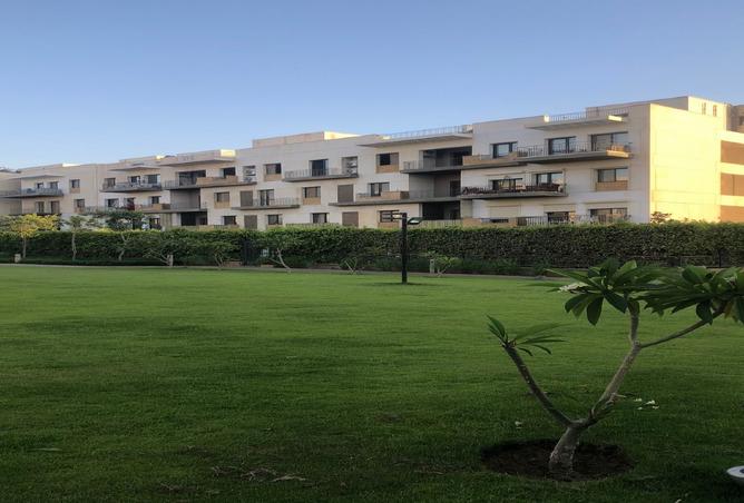 8155593 - صورة العقار 3
