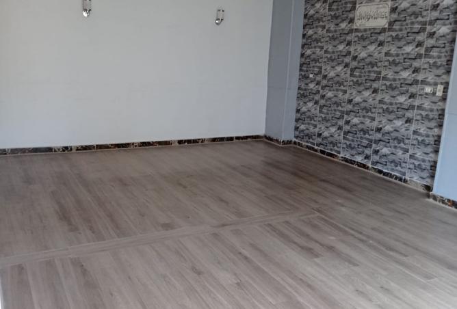 8299392 - Property Image 3