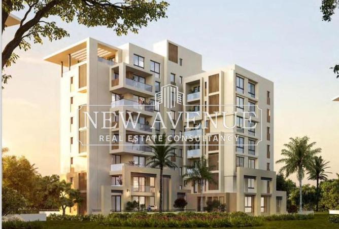 8197048 - Property Image 2