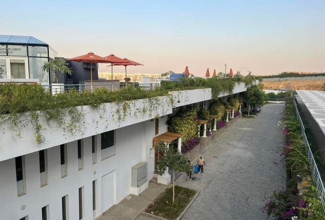 8456804 - الصورة الرئيسية للعقار