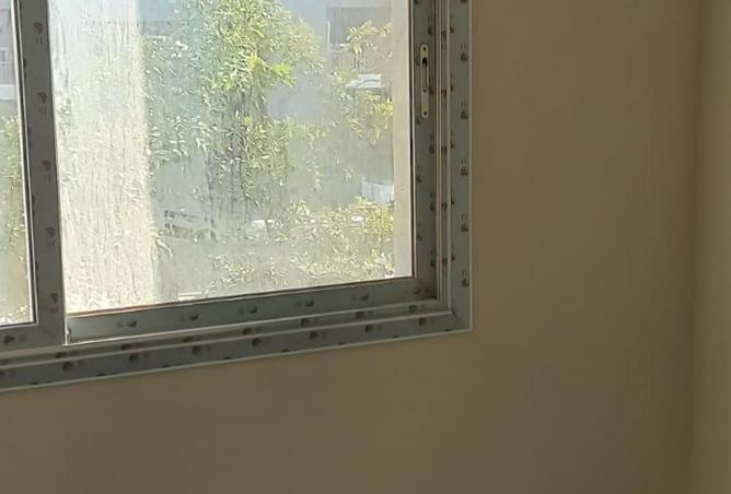 7966120 - صورة العقار 3