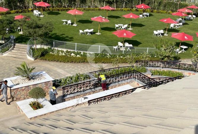 8527679 - Property Image 2