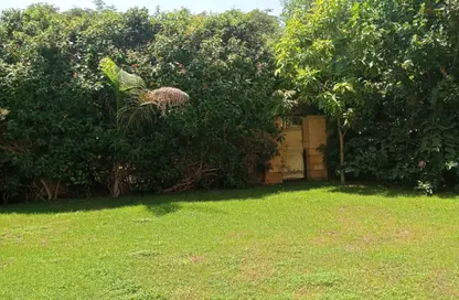 Villa - 3 Bedrooms - 3 Bathrooms for rent in Madinaty - Cairo