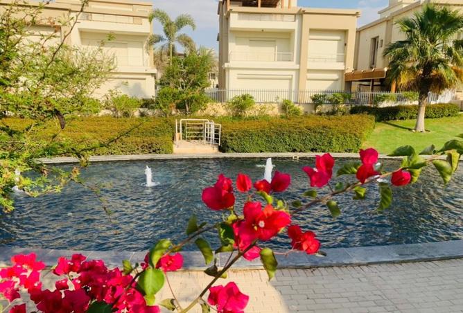 8334686 - Property Image 3