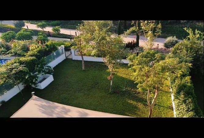 8467152 - صورة العقار 3