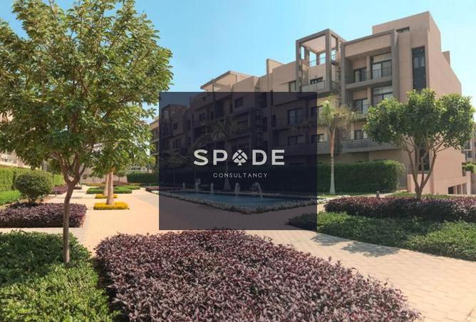 8158515 - صورة العقار 3