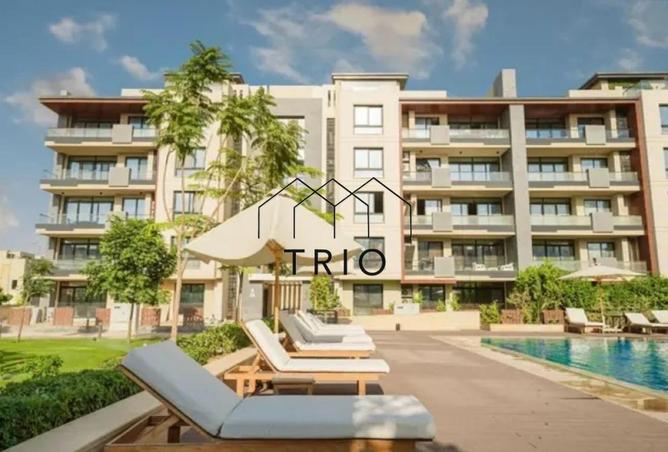 8459134 - Property Image 3