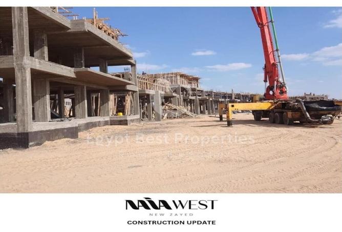 7981455 - Property Image 3