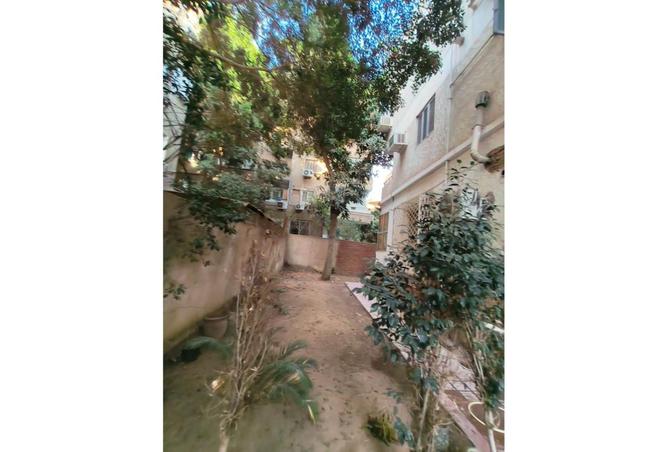 8393079 - صورة العقار 3