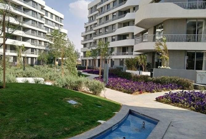 8401576 - Property Image 3