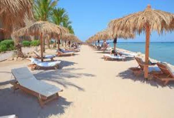 8005634 - صورة العقار 2