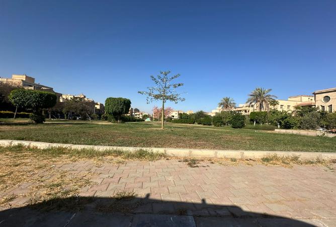 8123826 - Property Image 2