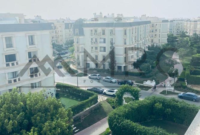8113146 - Property Image 3