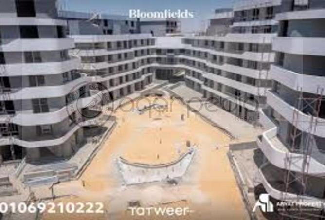 8202533 - Property Image 2