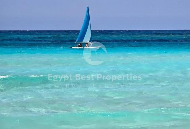 8433968 - Property Image 3