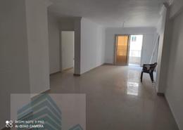 Apartment - 3 bedrooms for للايجار in La Vison St. - Bolkly - Hay Sharq - Alexandria