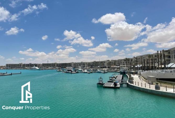 8446289 - Property Image 2