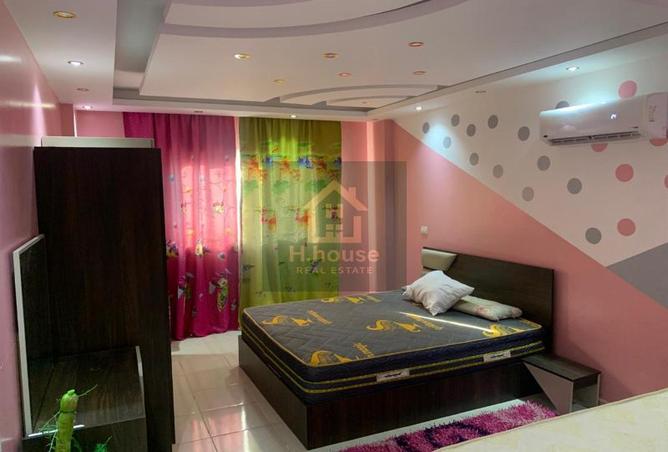 7995721 - Property Image 3