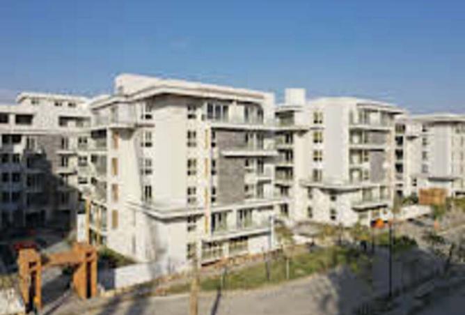 8052140 - Property Image 3