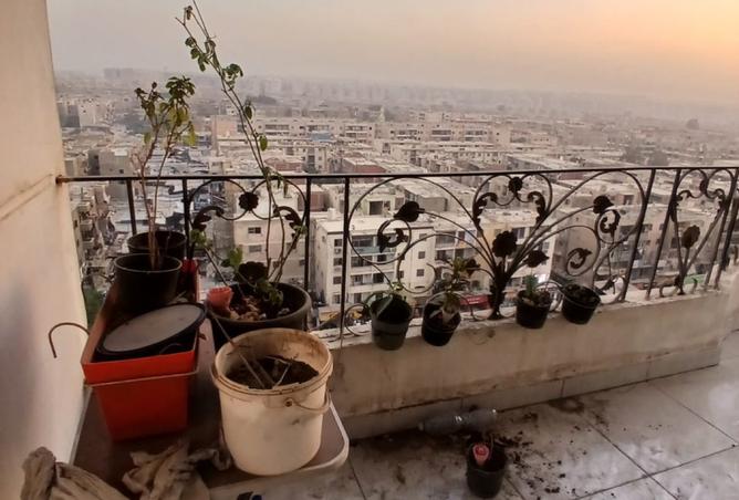 8377128 - Property Image 2