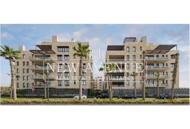 8231178 - صورة العقار 2