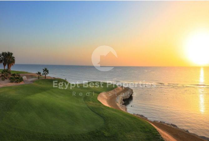 8216656 - صورة العقار 3