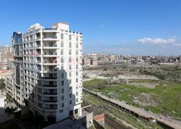 Apartment - 3 bedrooms - 2 bathrooms for للبيع in Kafr Abdo St. - Kafr Abdo - Roushdy - Hay Sharq - Alexandria