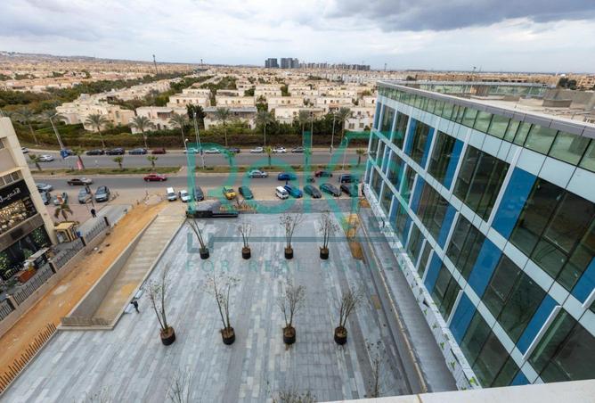 7905481 - Property Image 3