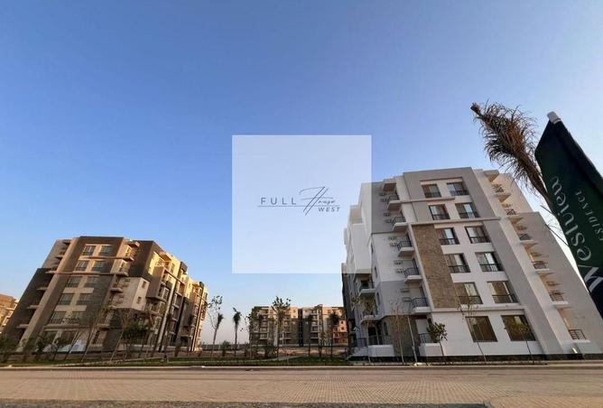 8393456 - Property Image 2