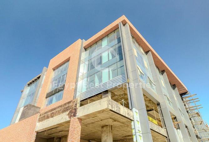 8172091 - Property Image 2