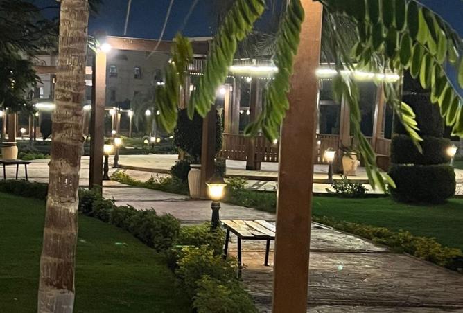 8238263 - Property Image 2