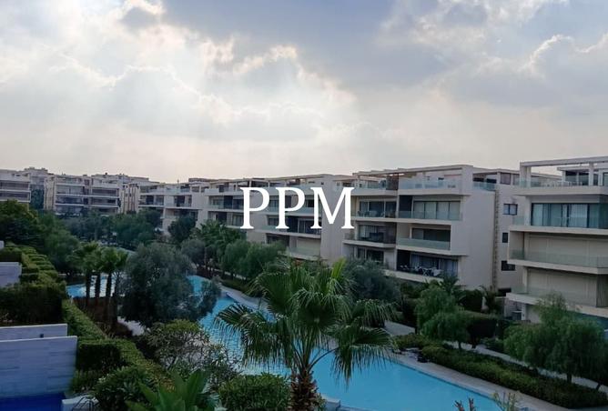 8437177 - صورة العقار 2